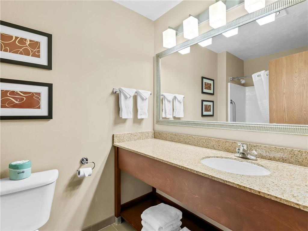 Comfort Suites Linn County - photo 9