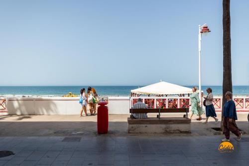 Delfin Azul by Cadiz Time in Cadiz, Spain