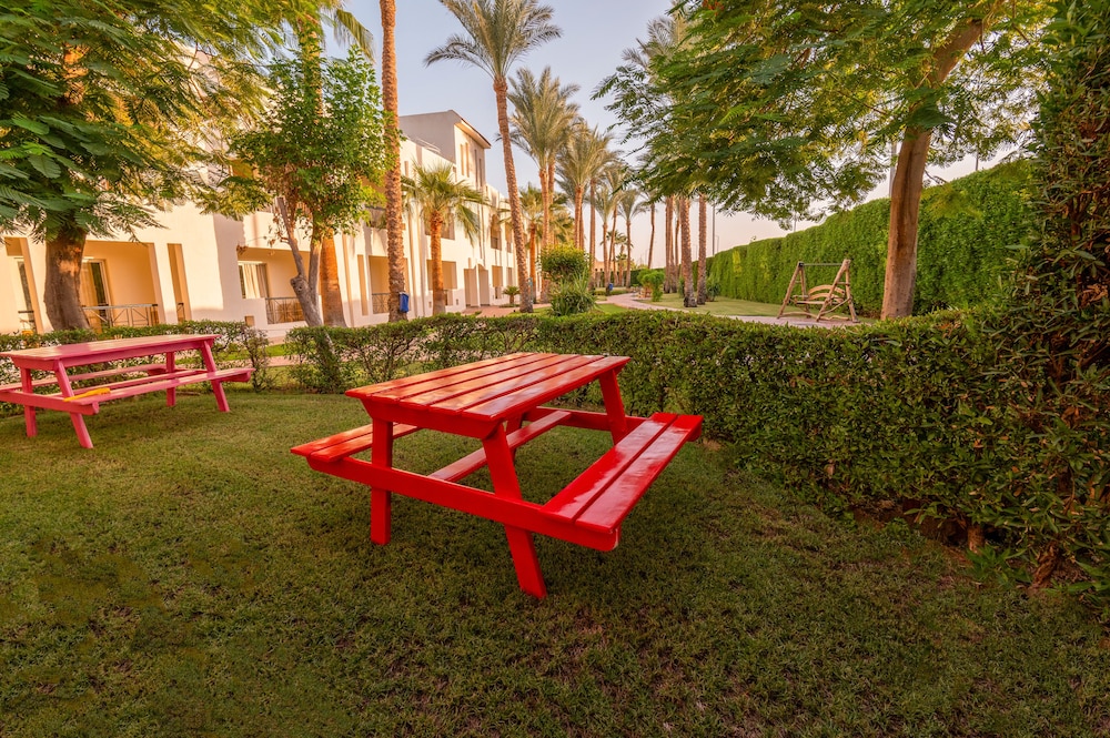 מראה חיצוני