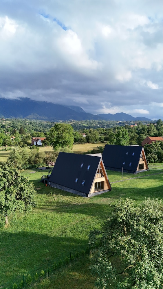 Vino Chalets Bran — hotel in Sohodol