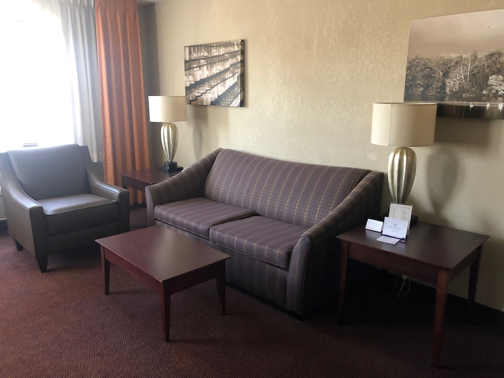 Ivy Court Inn & Suites - photo 19