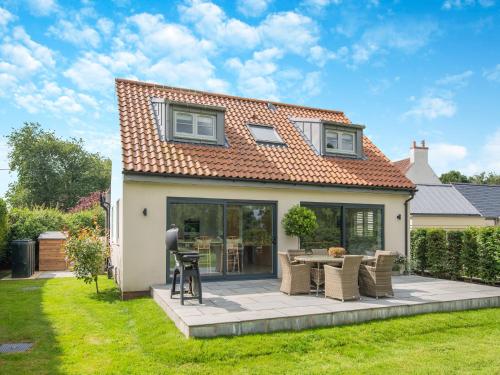 Holly Tree in York, United Kingdom