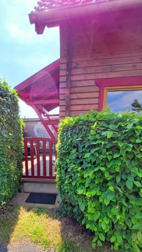 Grabner Ferienwohnung 4 — Koserow — photo 4