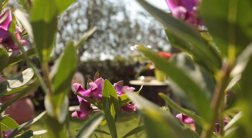 Il Baiocco in Civitanova Marche, Italy