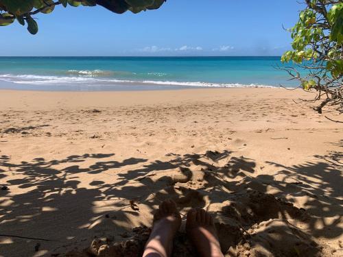 Villa Maison de Vacances — 4-Star Luxury Hotel in Sainte-Rose, Guadeloupe
