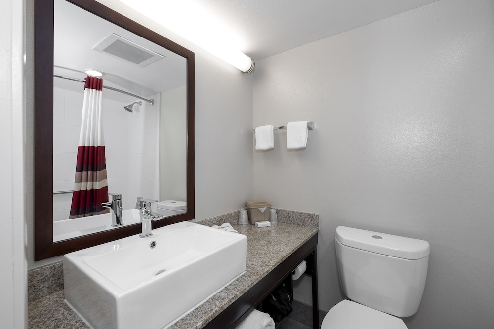 Red Roof Inn PLUS Tuscaloosa University - photo 10
