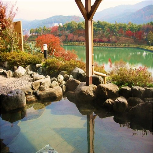 Tatsuno Park Hotel — Tatsuno — photo 4