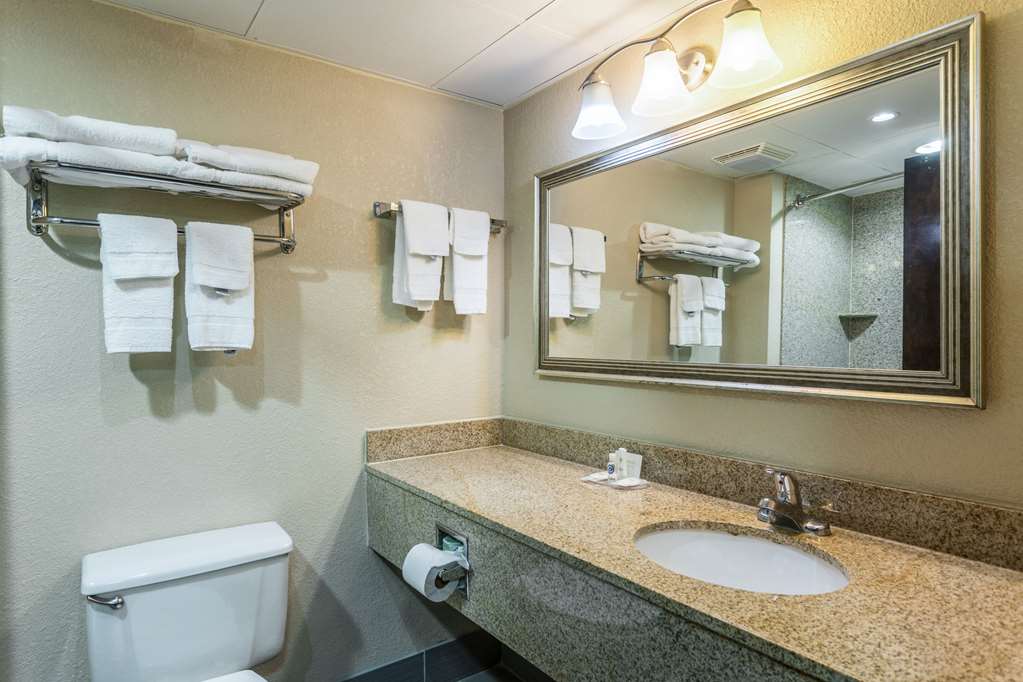 Comfort Inn Decatur Priceville - photo 21