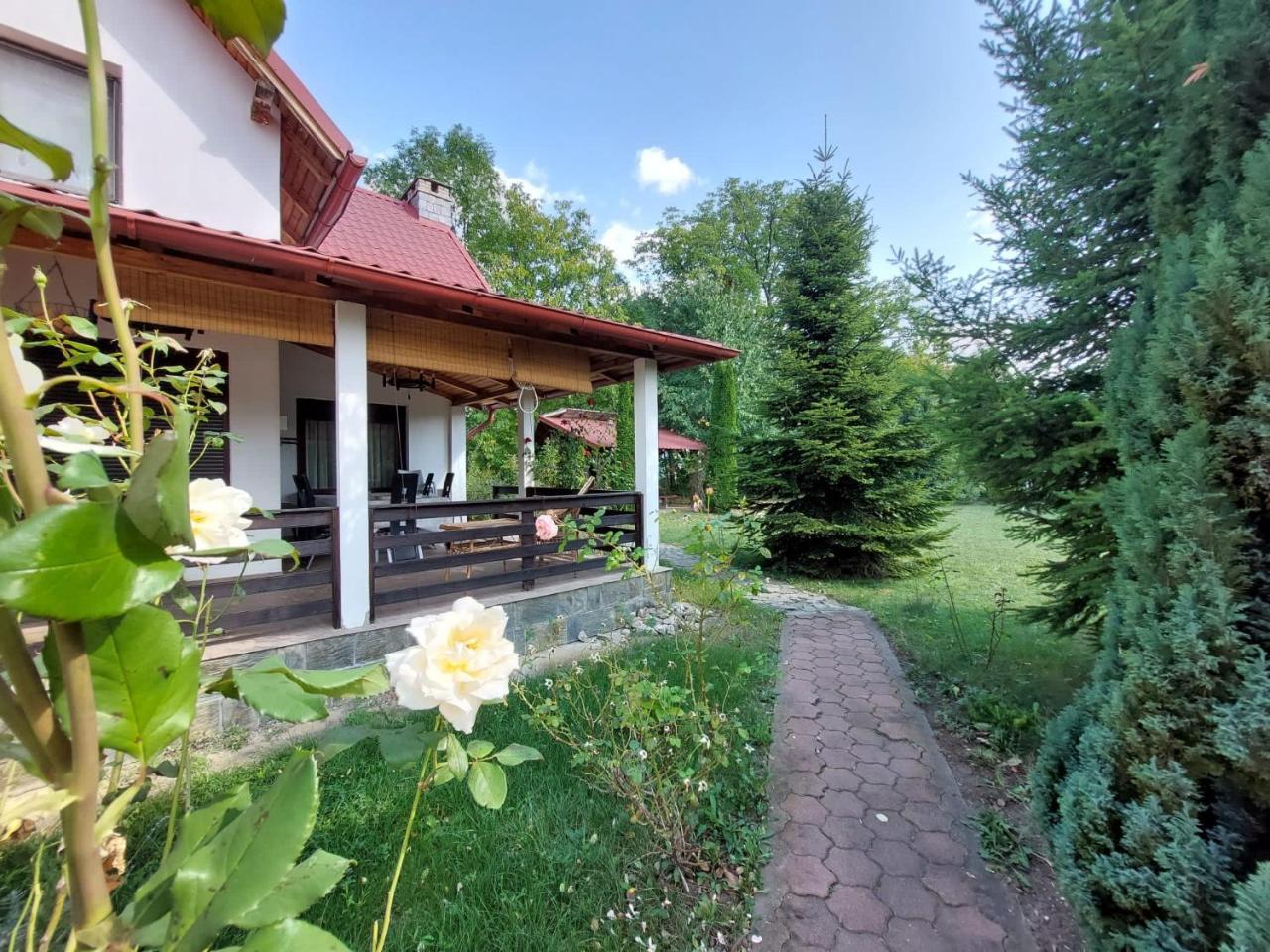 Paradisul Verde al Nathaliei — hotel in Cornu De Jos