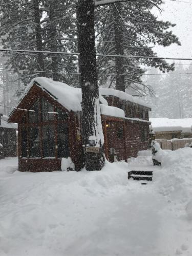 Cedar Pines Resort - photo 27