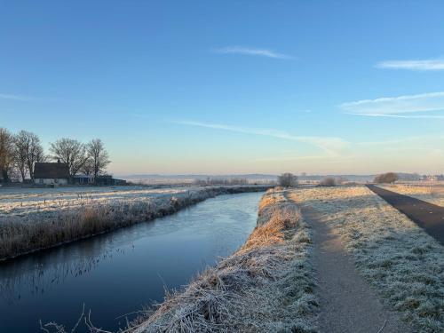 Klaproos Bergen NH in Bergen, Netherlands