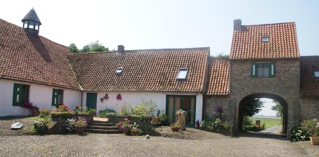 Bladelijn — Diksmuide — photo 5