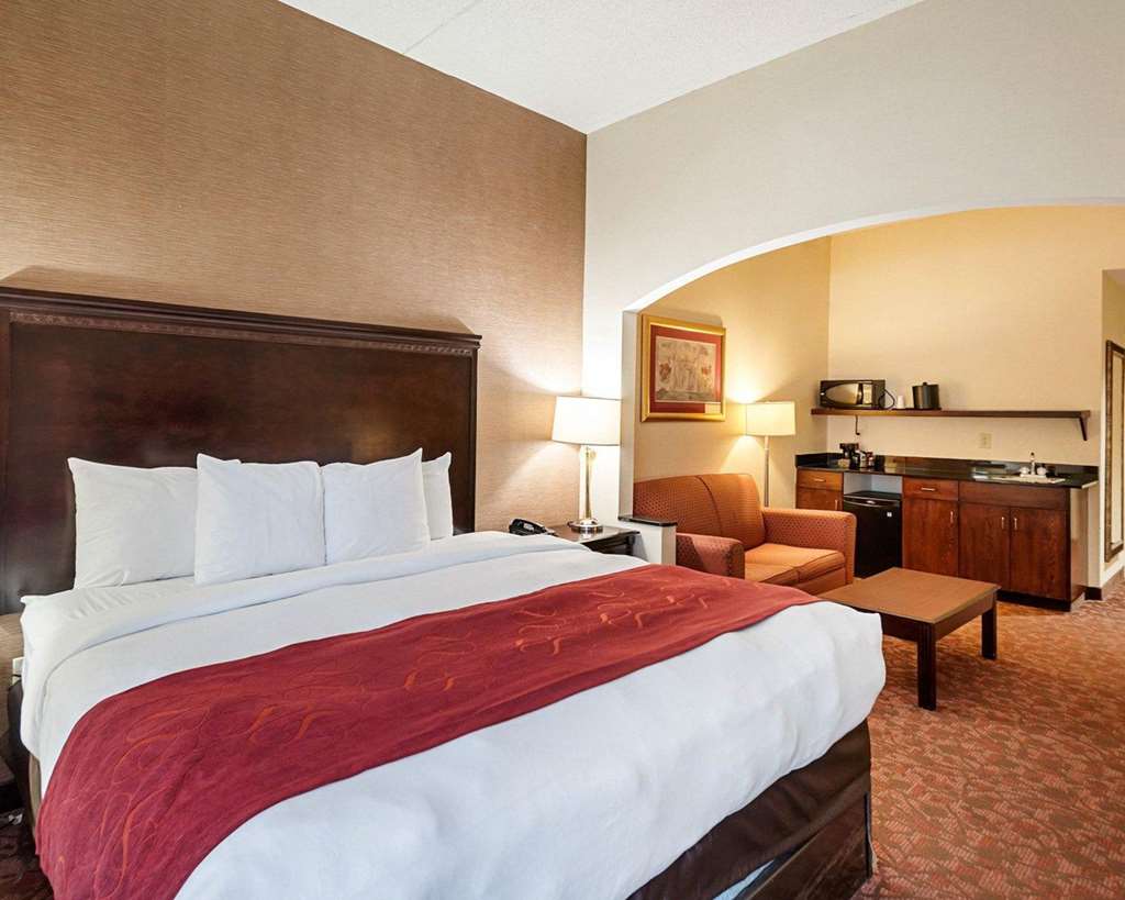Comfort Suites Dulles Airport - photo 12