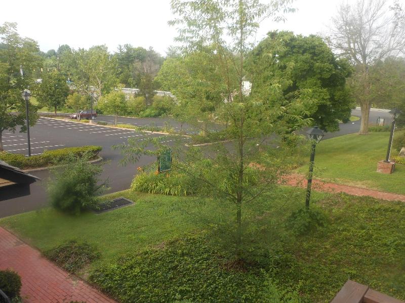 Century Suites Hotel - photo 23