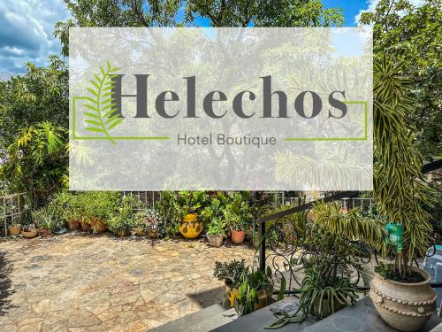 Helechos Hotel Boutique in Comayagua, Honduras