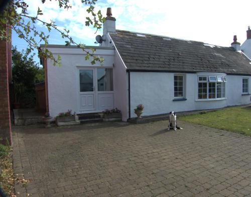 The Cwtch - last minute hotel in Haverfordwest