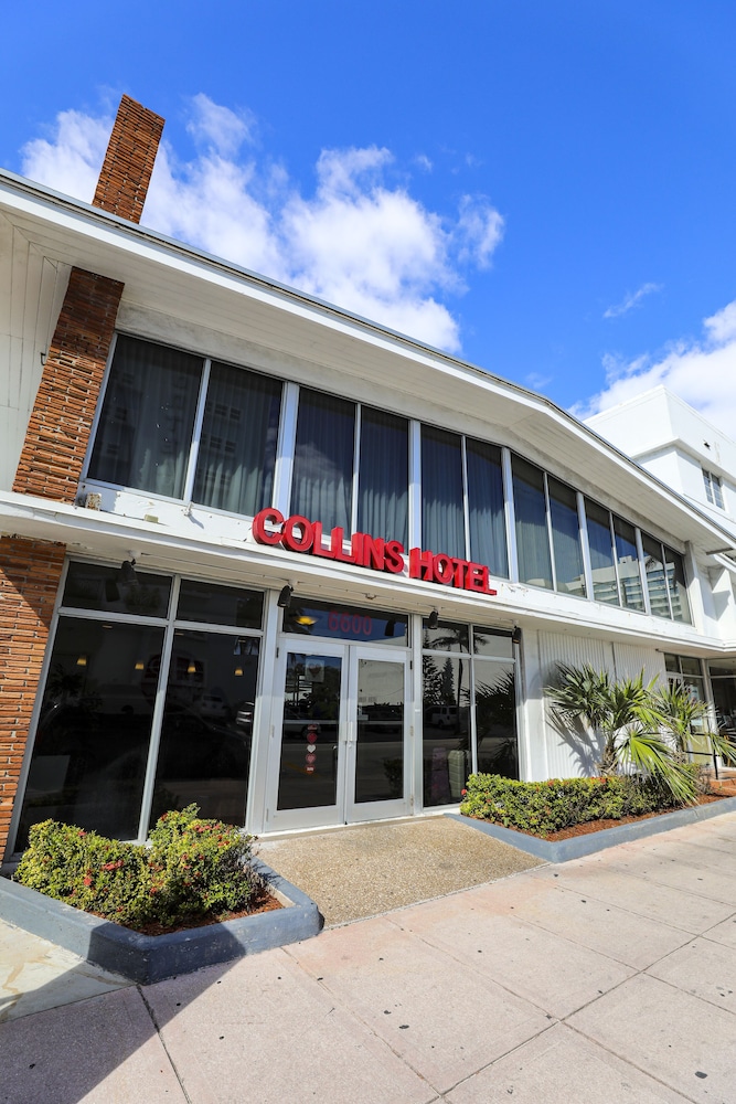 Collins Hotel - photo 31