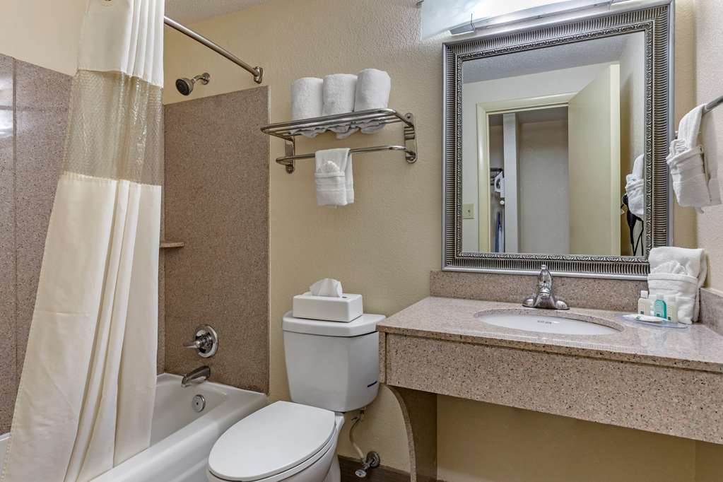 Quality Inn & Suites Greensboro High Point - photo 26