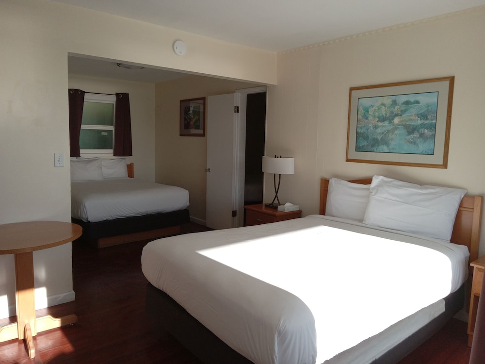 Blue Coast Inn and Suites - photo 27