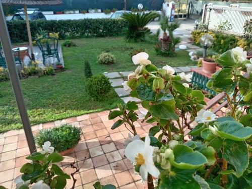 B&B villamariascauri — 4-Star Luxury Hotel in Minturno, Italy