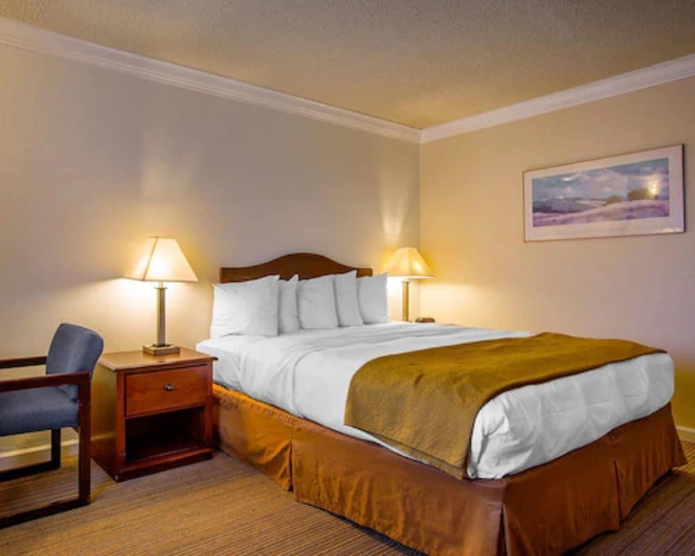 Arbor Inn Monterey - photo 8