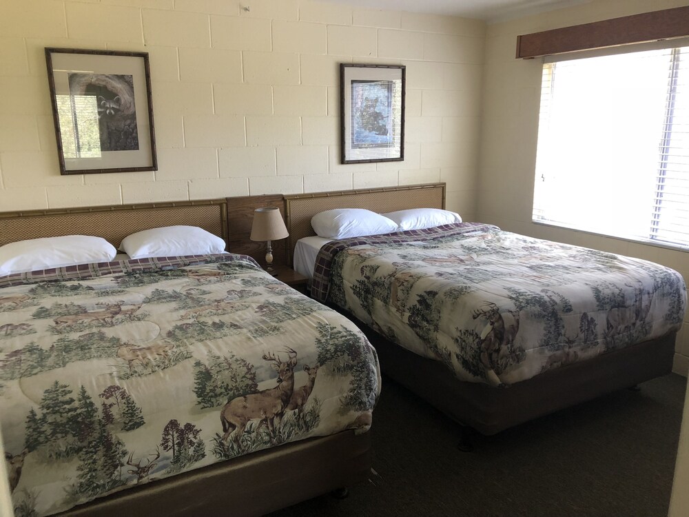 Sequoia Village - photo 20