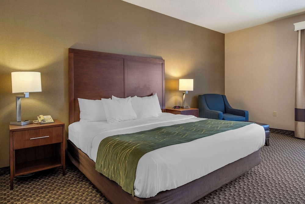 Comfort Inn Charlotte - photo 4