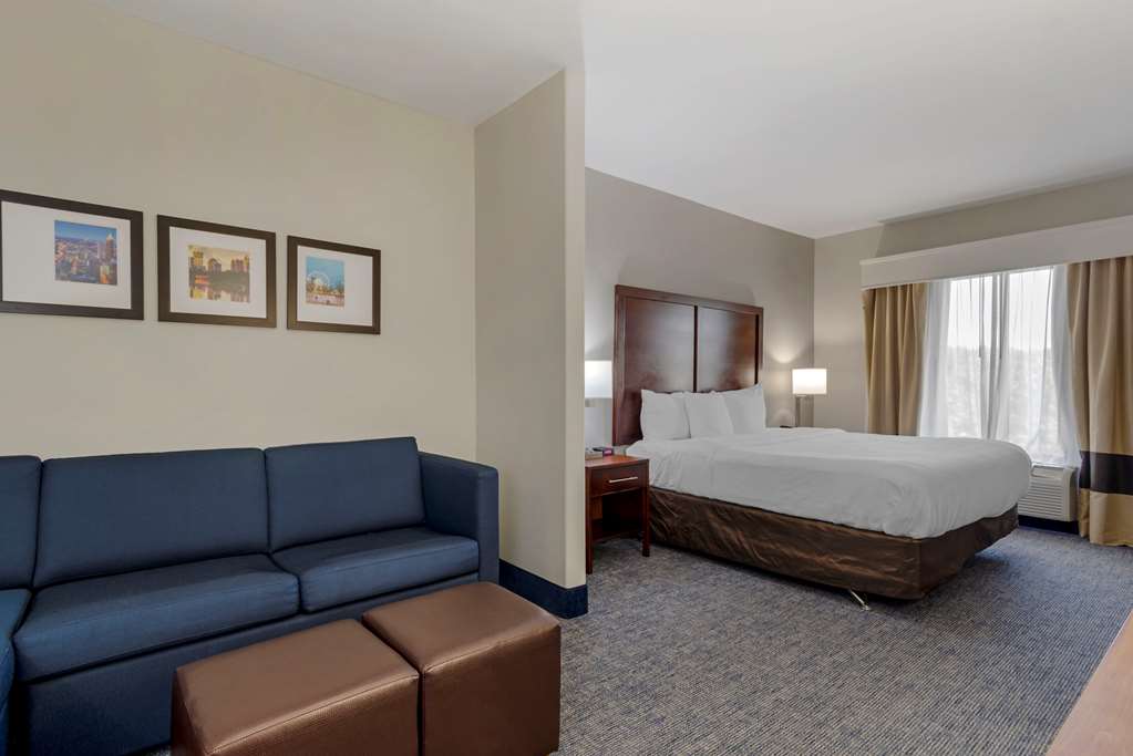 Comfort Suites Stockbridge Atlanta South - photo 34