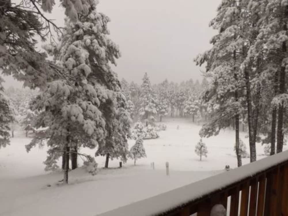 Arizona Mountain Inn and Cabins - photo 101