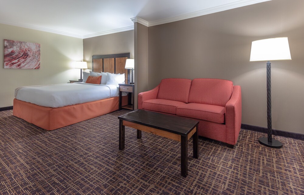 Best Western Wichita North Hotel and Suites - photo 18