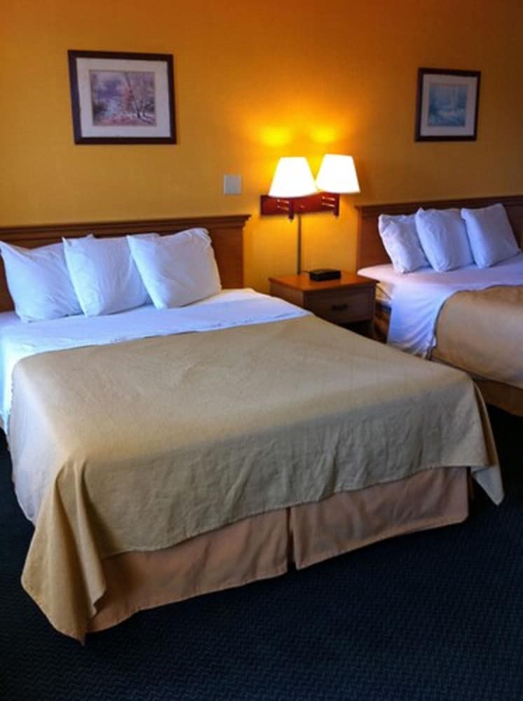 St. Augustine Island Inn - photo 17