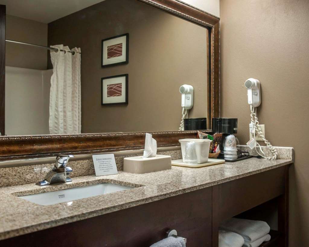 Quality Inn & Suites near St. Louis and I 255 - photo 9