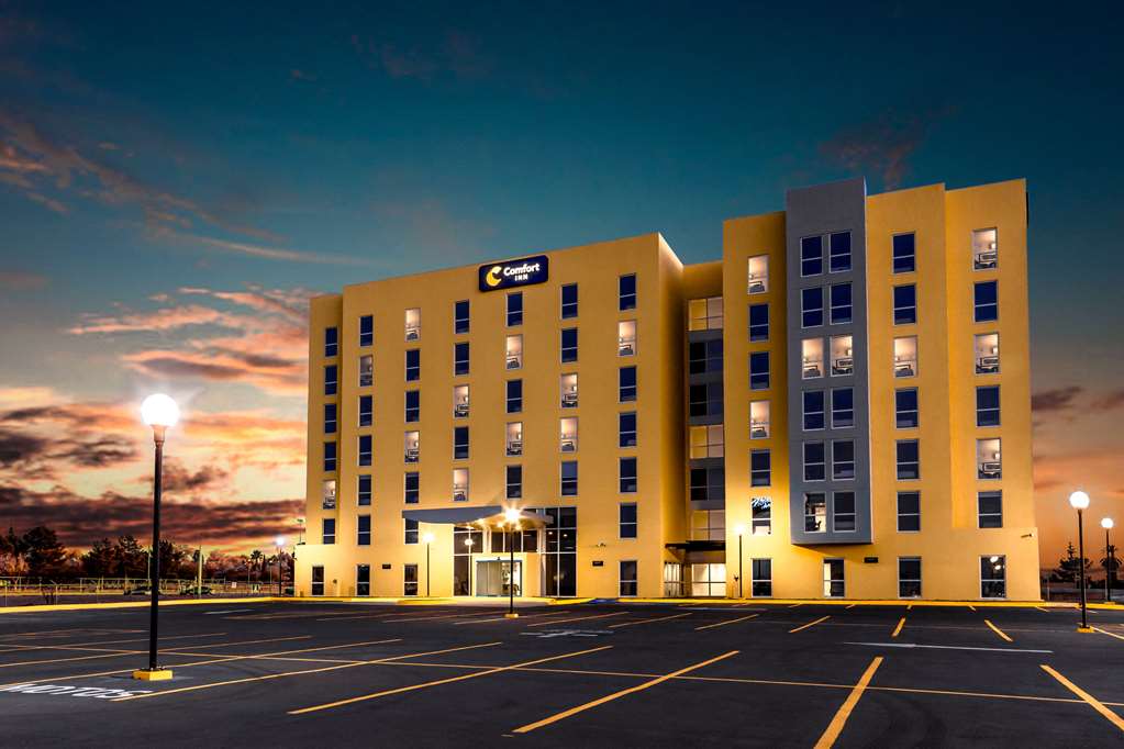 Comfort Inn Delicias — Ciudad Delicias — photo 5