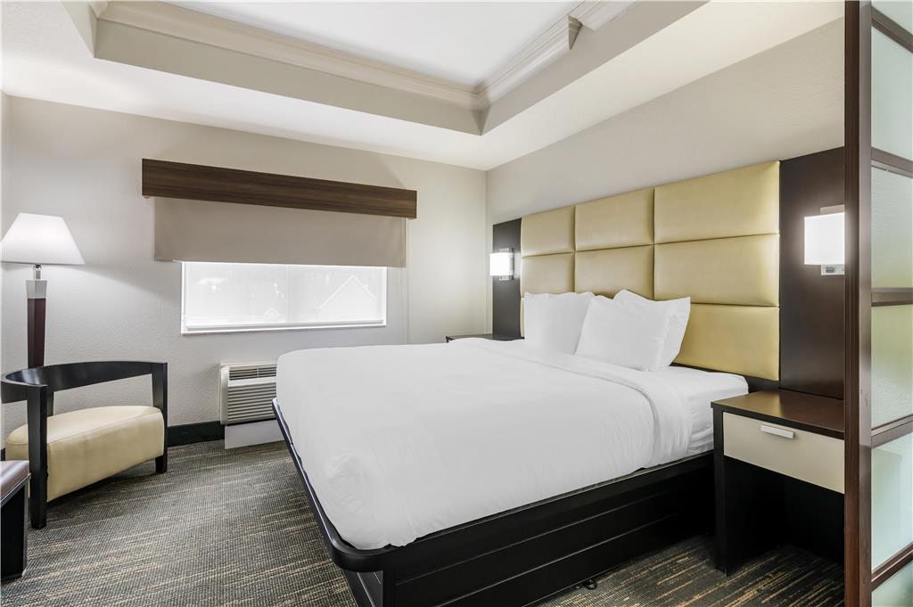 Best Western Plus JFK Inn & Suites - photo 32