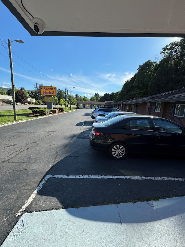 Acorn Motel - photo 23