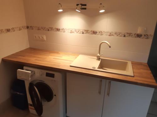 Sub Rosa Two Bedroom Apartment — Balatonfenyves — photo 4