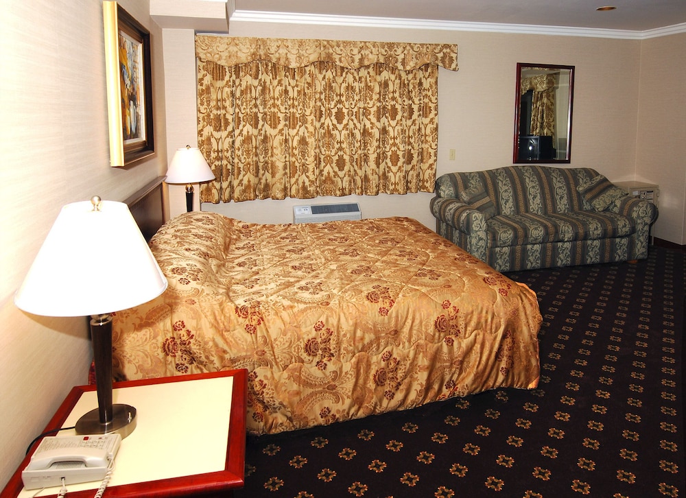 Metro Plaza Hotel - photo 7