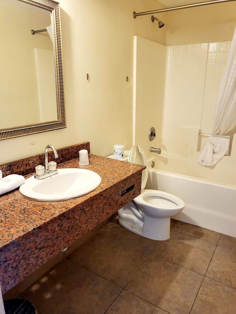 Metro Inn & Suites - photo 18