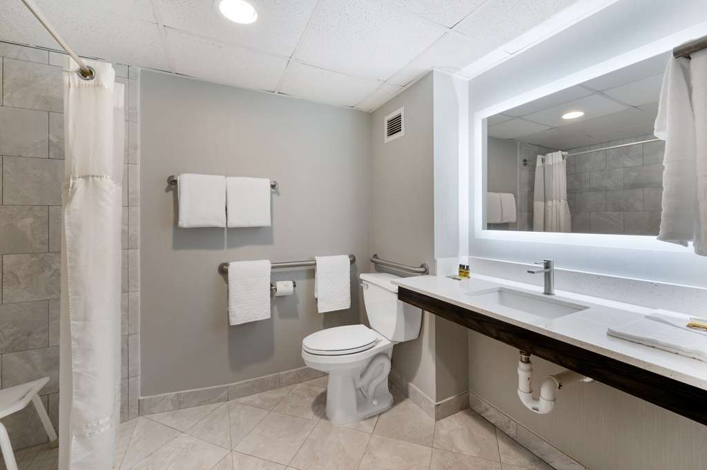 Best Western Plus Alexandria Fort Belvoir - photo 35