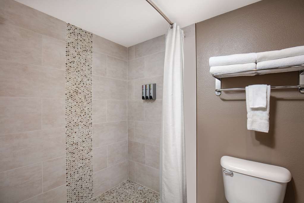 Best Western Plus King's Inn & Suites - photo 39
