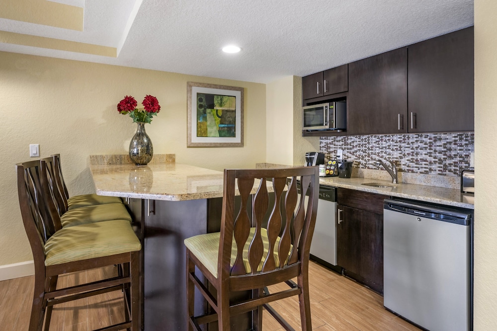 Holiday Inn Resort Orlando Lake Buena Vista by IHG - photo 18