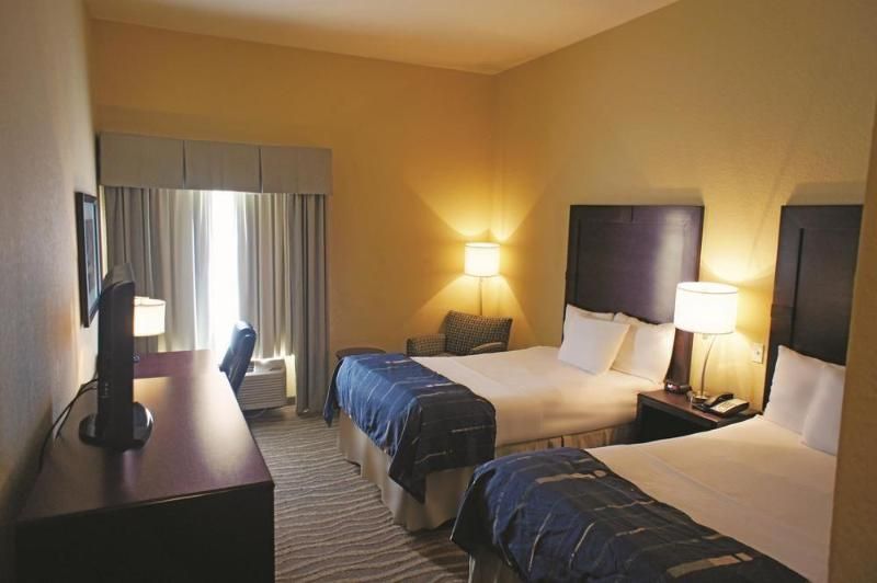 Spark by Hilton Hammond - photo 6