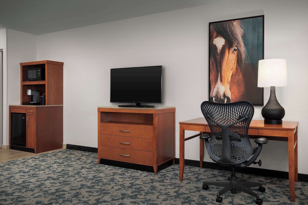 Hilton Garden Inn Fort Worth Medical Center - photo 11