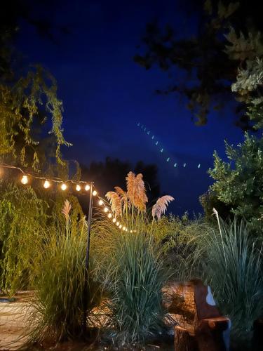 Havre de paix en Provence — hotel in Jonquieres