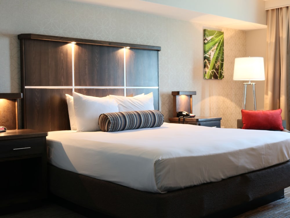 Avi Resort & Casino - photo 3
