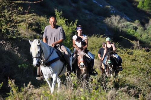 Refugio Ecoburropark - carbon neutral hotel in Vall De Ebo