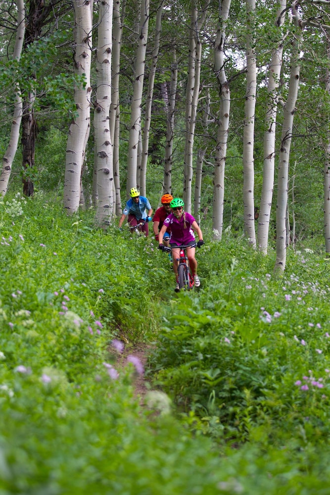 Teewinot Lodge by Grand Targhee Resort - photo 20