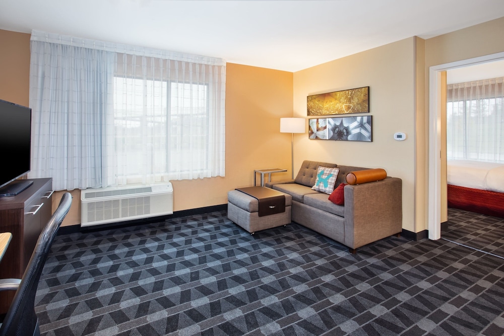 TownePlace Suites by Marriott Detroit Belleville - photo 20