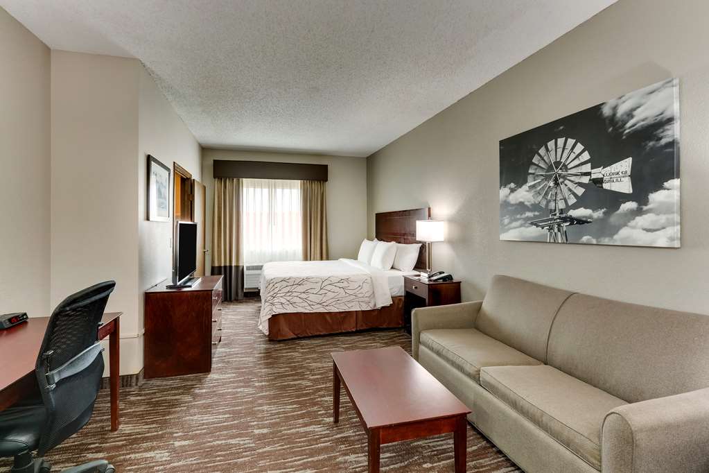 Best Western Plus University Inn & Suites - photo 7