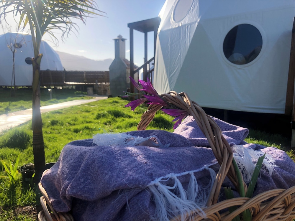 Soulglamping — Calheta — photo 3